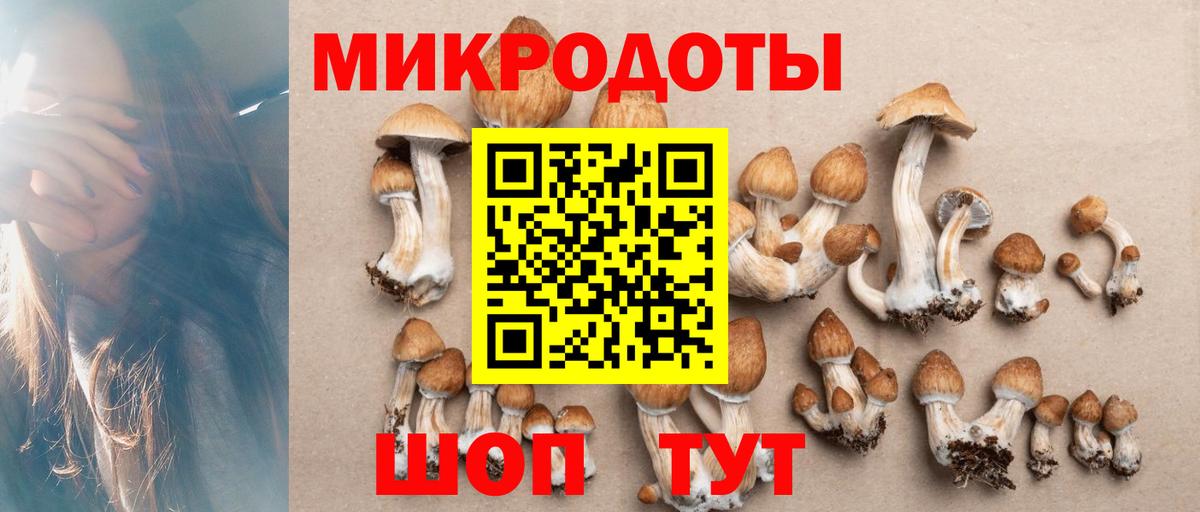 Каменка  Псилоцибиновые грибы мицелий  Вход с VPN 